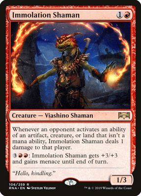 Immolation Shaman Immolation Shaman
