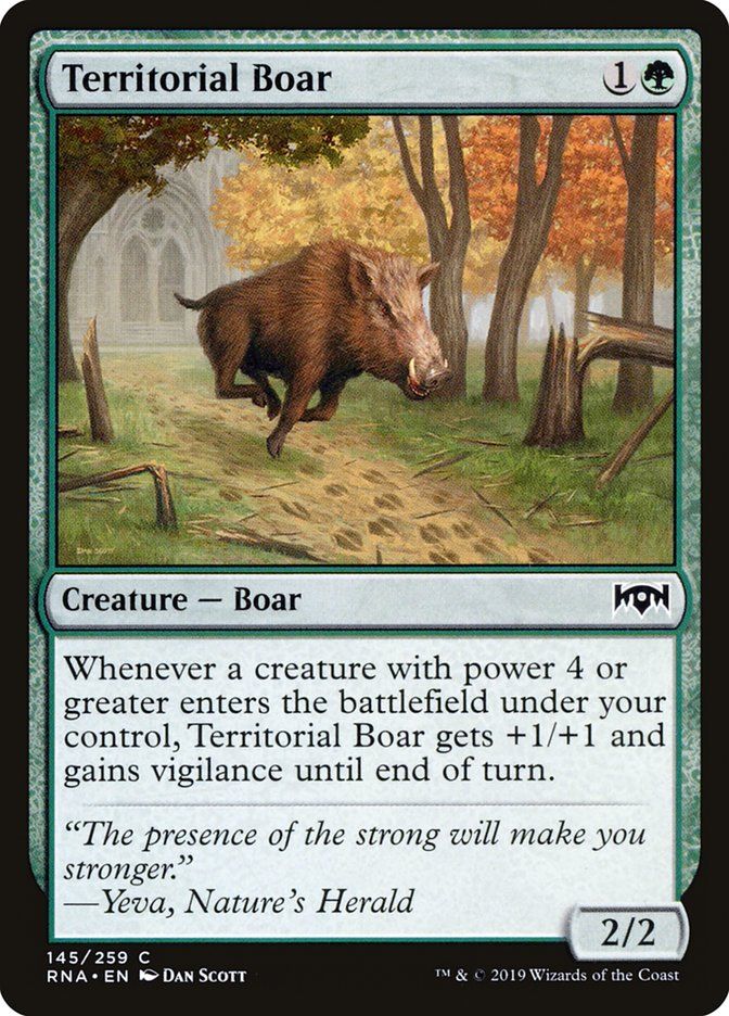 Territorial Boar Territorial Boar