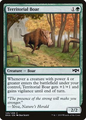 Territorial Boar Territorial Boar