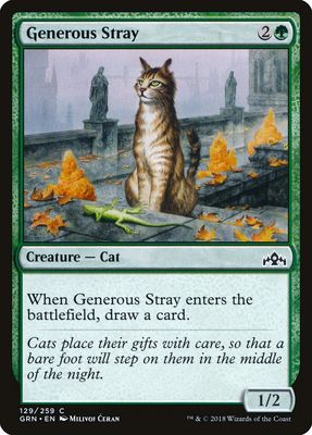 Generous Stray Generous Stray