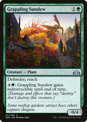Grappling Sundew Grappling Sundew