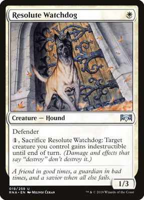 Resolute Watchdog Resolute Watchdog