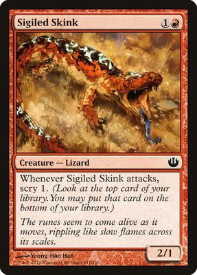 Sigiled Skink Sigiled Skink