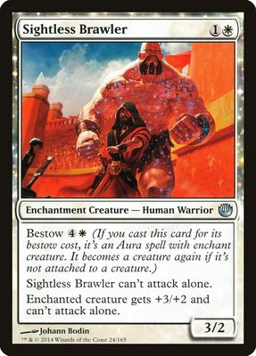 Sightless Brawler Sightless Brawler