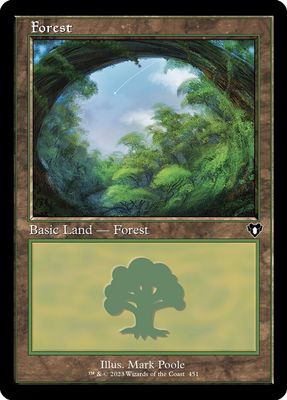 Forest Forest