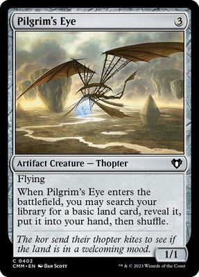 Pilgrim's Eye Pilgrim's Eye