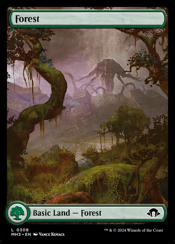 Forest Forest