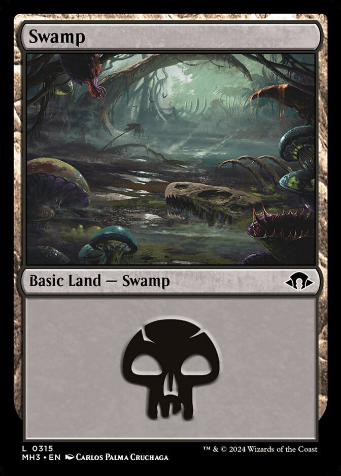 Swamp Swamp