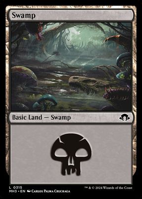 Swamp Swamp