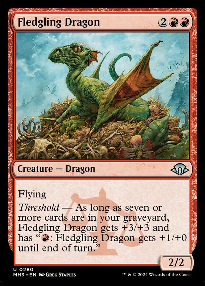 Fledgling Dragon Fledgling Dragon