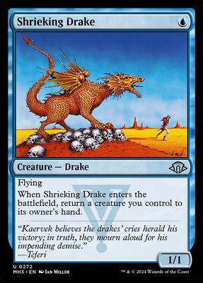 Shrieking Drake Shrieking Drake