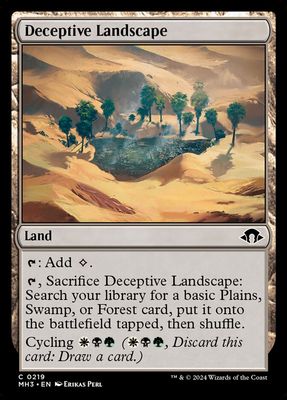 Deceptive Landscape Deceptive Landscape