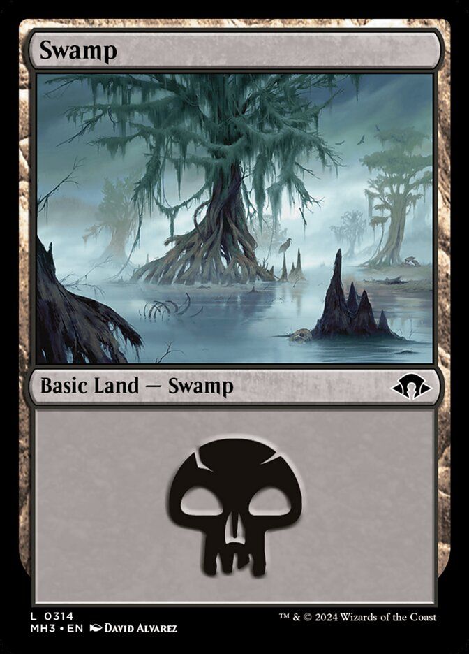 Swamp Swamp