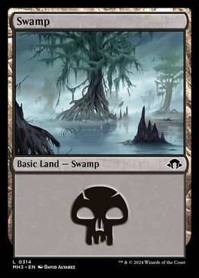 Swamp Swamp