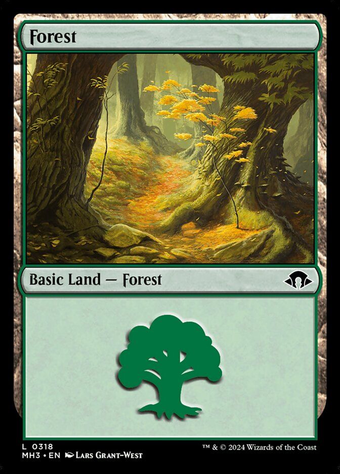 Forest Forest