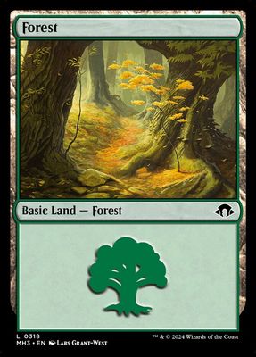 Forest Forest
