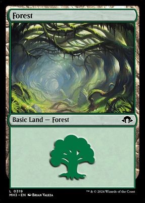 Forest Forest