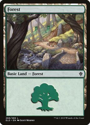 Forest Forest