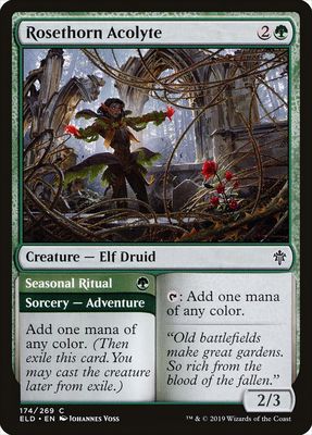 Rosethorn Acolyte // Seasonal Ritual Rosethorn Acolyte // Seasonal Ritual