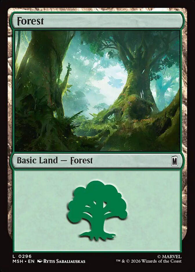 Forest Forest