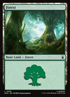 Forest Forest