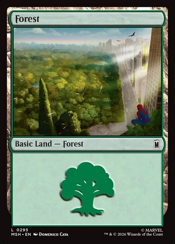 Forest Forest