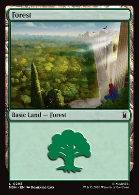 Forest Forest
