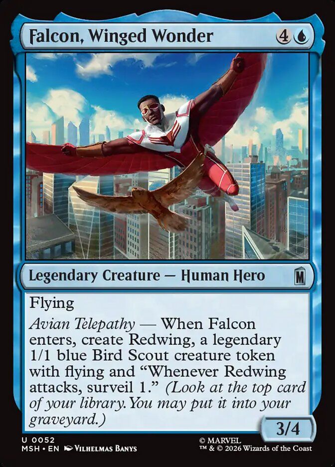 Falcon, Winged Wonder Falcon, Winged Wonder