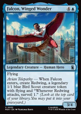 Falcon, Winged Wonder Falcon, Winged Wonder