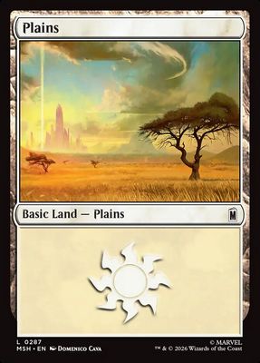 Plains Plains