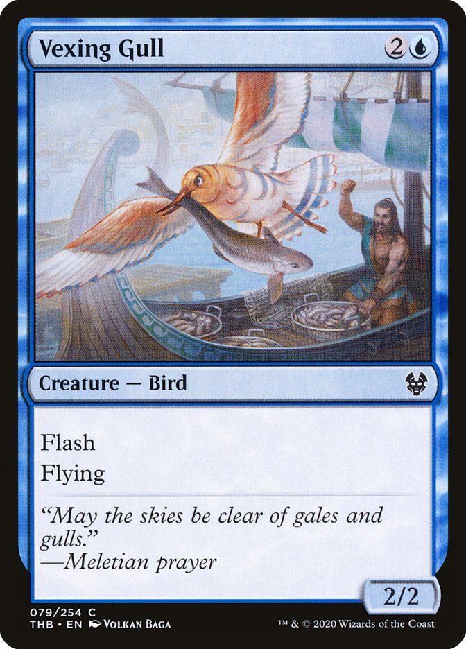 Vexing Gull Vexing Gull