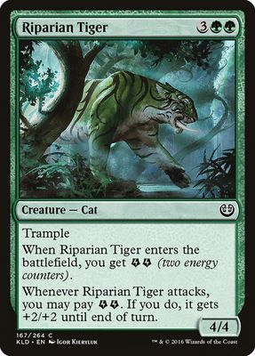 Riparian Tiger Riparian Tiger
