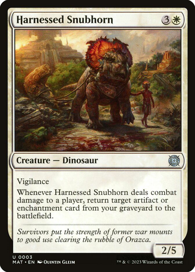 Harnessed Snubhorn Harnessed Snubhorn