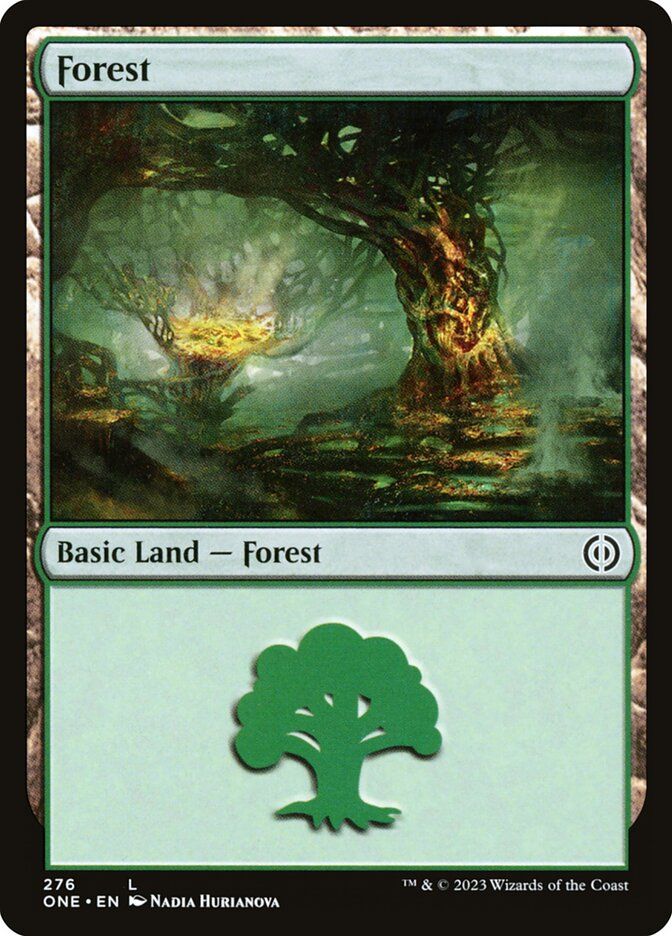 Forest Forest