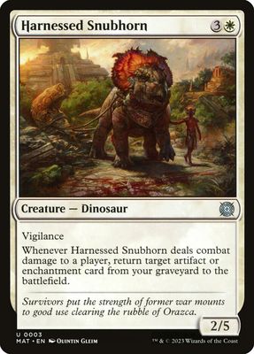 Harnessed Snubhorn Harnessed Snubhorn