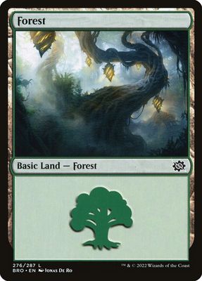 Forest Forest