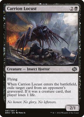 Carrion Locust Carrion Locust