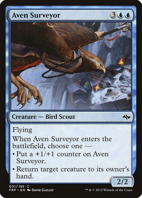 Aven Surveyor Aven Surveyor