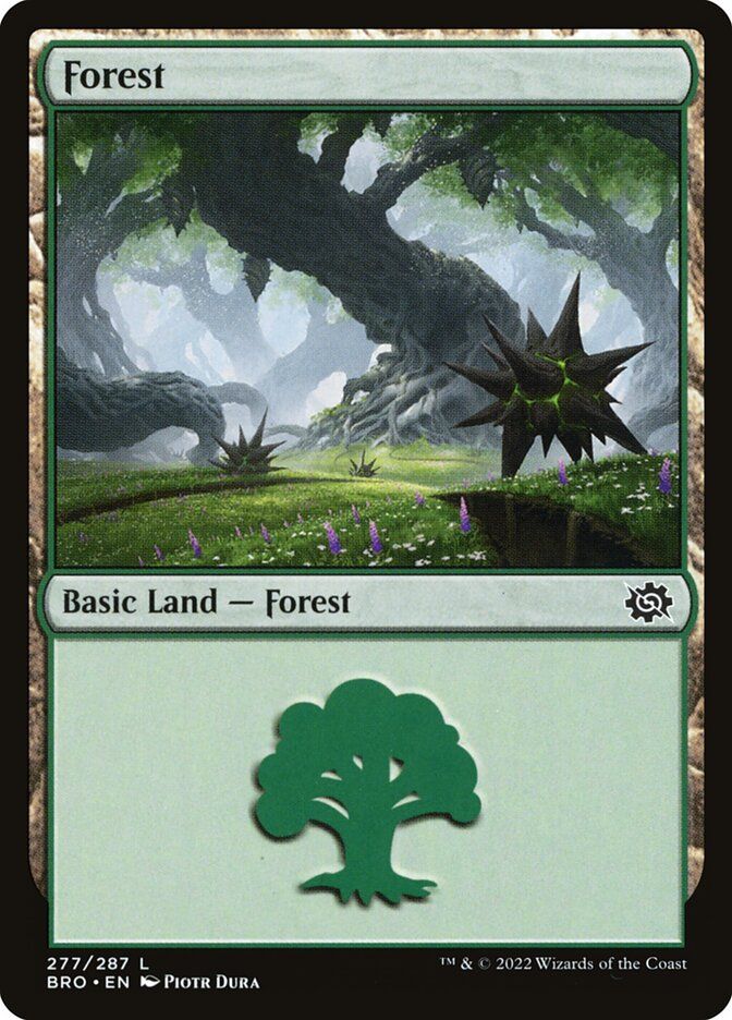 Forest Forest