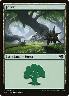 Forest Forest