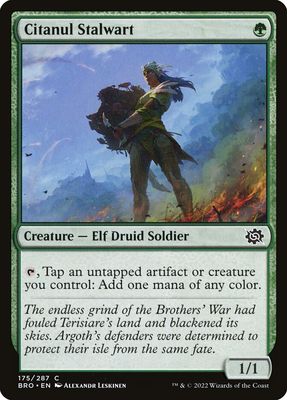 Citanul Stalwart Citanul Stalwart
