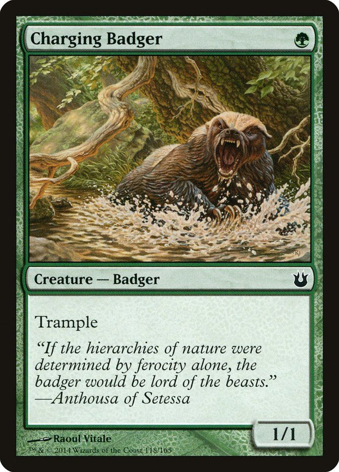 Charging Badger Charging Badger
