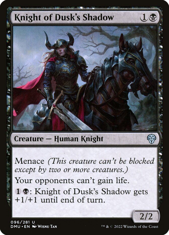 Knight of Dusk's Shadow Knight of Dusk's Shadow