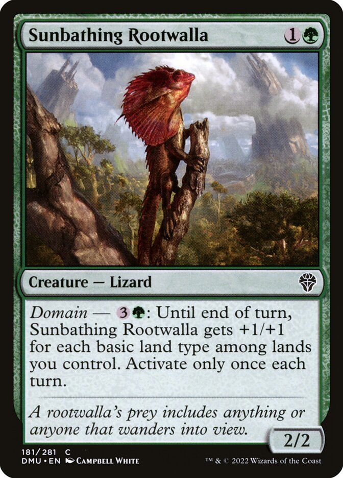 Sunbathing Rootwalla Sunbathing Rootwalla