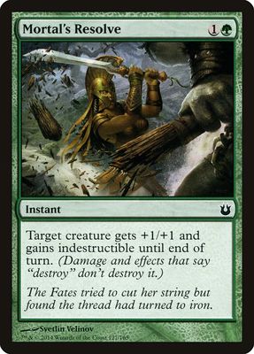Mortal's Resolve Mortal's Resolve