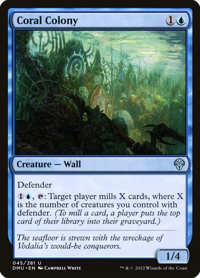 Coral Colony Coral Colony