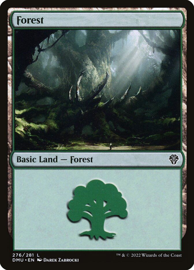 Forest Forest
