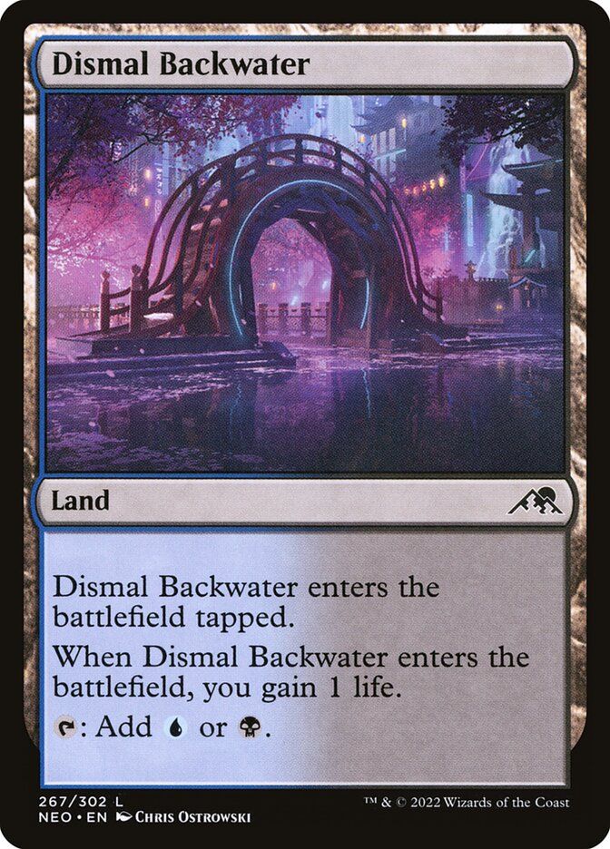 Dismal Backwater Dismal Backwater