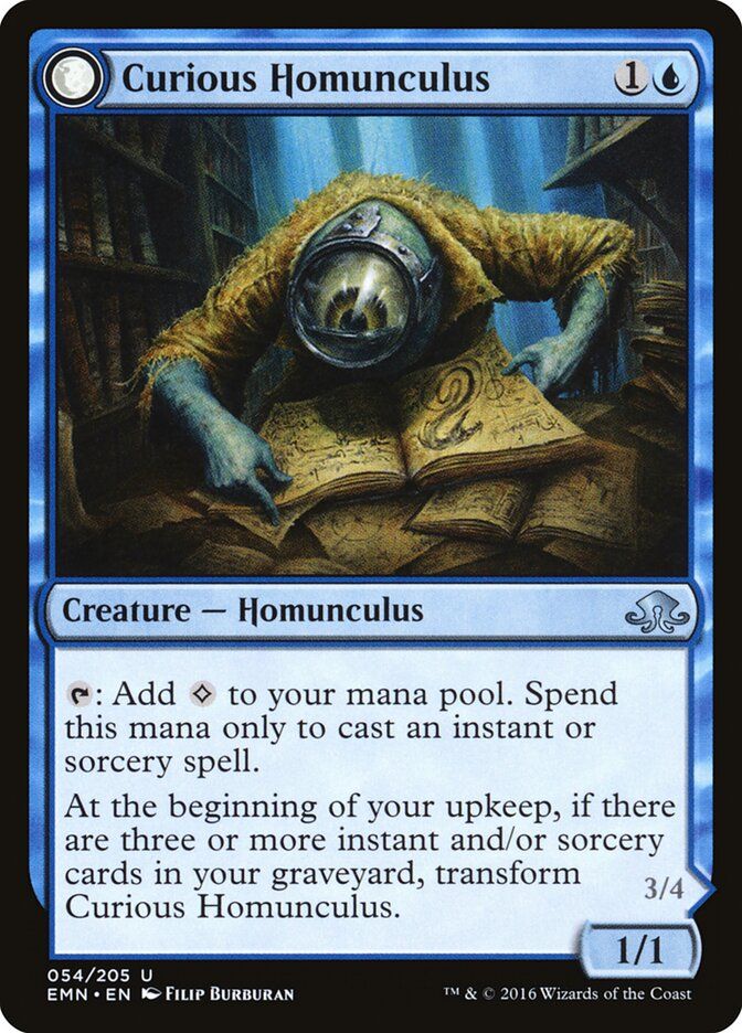 Curious Homunculus // Voracious Reader Curious Homunculus // Voracious Reader