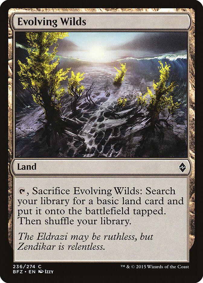 Evolving Wilds Evolving Wilds